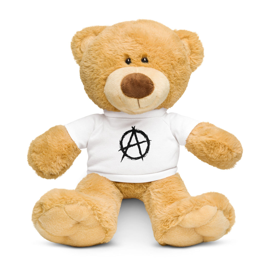 Anarchy, definition and History.